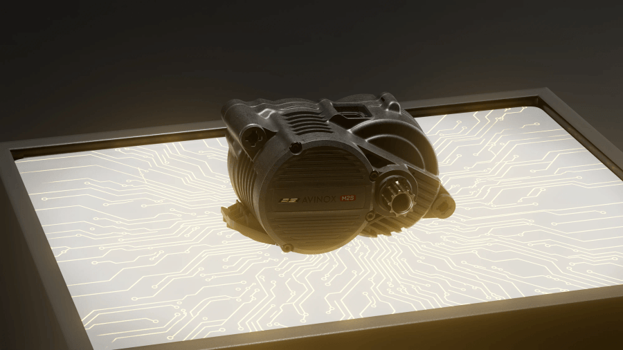Wild LT - Avinox 2
